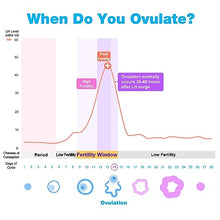 Easy@Home 100 Ovulation & 20 Pregnancy Test Strips Kit: Accurate Fertility Tests - Powered by Premom App Ovulation Tracker OPK | 100 LH + 20 HCG