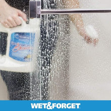 WET AND FORGET 801064 Shower, 64 oz