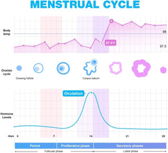 Easy@Home 100 Ovulation & 20 Pregnancy Test Strips with Cups: Reliable Ovulation Predictor Kits - Accurate TTC OPK Fertility Tests | 100 LH + 20 HCG + Cups