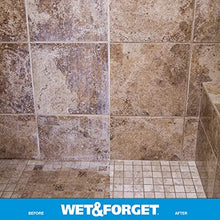 WET AND FORGET 801064 Shower, 64 oz