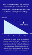 NAC Supplement 30000 N-Acetyl-L-Cysteine Glutathione Antioxidant Booster Support, Liver and Detox Support Lungs