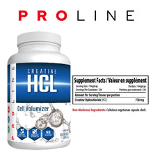 PROLINE Creatine HCL Capsules | Ultra Concentrated Creatine Hydrochloride (HCL) for Strength, Performance, Recovery | 750mg Creatine HCL per Capsule | Vegan Approved, 120 Capsules