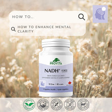 NADH+ - Cognitive Support Antioxidant by Provita | Maintain Mental Clarity, Focus & Memory | Brain Health Support | Increase Energy Production | NADH, Coenzyme Q10 & Chlorophyll | 60 Capsules