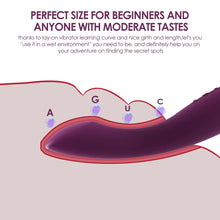 SVAKOM G Spot Vibrator for Women Clitoral Stimulator, Dildo for Sex with 25 Playful Vibration Pattern, G-Spot Vibe Couple Adult Sex Toys & Foreplay