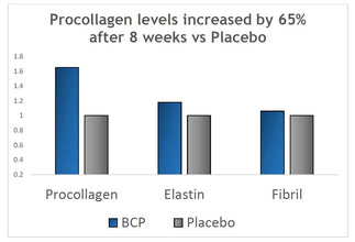 Verisol - Collagen Bioactive Peptides (Natural Collagen Powder) Made in Germany (Large 2-Month Supply)