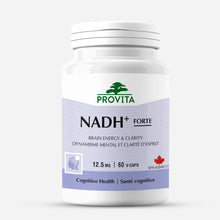 NADH+ - Cognitive Support Antioxidant by Provita | Maintain Mental Clarity, Focus & Memory | Brain Health Support | Increase Energy Production | NADH, Coenzyme Q10 & Chlorophyll | 60 Capsules