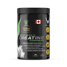 VEGAIN Micronized Creatine Monohydrate Powder (60 Servings) - Pure Pharmaceutical Grade, Muscle Building, Vegan, Banned Substance Free, 300g