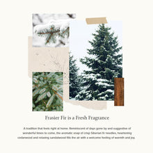 Thymes Dishwashing Liquid (Frasier Fir)