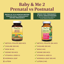 MegaFood Postnatal Vitamins for Breastfeeding Moms | Postpartum Lactation Supplement Multivitamins for Women | Vitamin C Vitamin A Choline Moringa Leaf & Iron | 60 Tablets