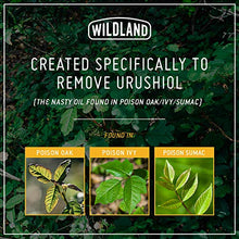 Wildland Poison Oak & Poison Ivy PREVENTION WIPES | Prevent Rash and Itch before it starts | Extremely effective Urushiol removal formula | Lightweight, Individually Wrapped (Sachet of 12)