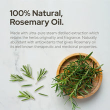 Plant of Life Rosemary Oil - Natural Rosemary Hair Oil for Thicker, Stronger, Volumizing Hair - Undiluted, Scalp Treatment (Rosemary, 4oz (121mL))