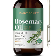 Plant of Life Rosemary Oil - Natural Rosemary Hair Oil for Thicker, Stronger, Volumizing Hair - Undiluted, Scalp Treatment (Rosemary, 4oz (121mL))