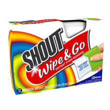 Shout Wipe & Go 12Ct Wipes 4 Pack, Multicolor,12 Count (Pack of 4)