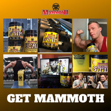 Mammoth NeuroStim 60 Serve, Caffeine & Nootropic Brain Supplement Formula, Energy & Focus, Mental & Physical Boost, Increased Cognition, Lion’s Mane Mushroom, Clear Raspberry