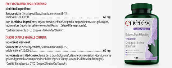 Enerex Serrapeptase 120,000SU 180 DRcaps - High Potency Enzyme Supplement - Serrapeptase 120000 SPU for Natural Support - Serrapeptase Supplement for General Wellness