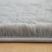 Poboton Super Soft Shaggy Area Rugs Fluffy Carpets, Indoor Area Rugs for Living Room Bedroom Kids, College Students Home Decor, Rectangular Fuzzy Rug, 5x8 Feet, Solid-LightGrey