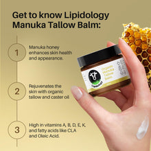 Organic Tallow Manuka Honey Balm: Natural, Unscented Balm for the Face and Body, Made with Organic, Grass-Fed/Finished Canadian Beef Tallow and Raw, Organic New Zealand Manuka Honey, for Sensitive Skin, by Lipidology, 60 ml (2 oz) Buy From Quality Organic