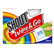 Shout Wipe & Go 12Ct Wipes 4 Pack, Multicolor,12 Count (Pack of 4)