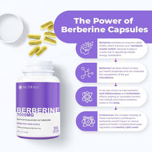 New Berberine MAXIMUM POTENCY 1000mg per Serving (2 capsules 500mg each) Supports Blood Sugar Levels, Healthy Lipid (Fat) and Glucose Metabolism. Non-GMO, Vegan, Gluten Free. 90 Easy to Swallow Capsules.