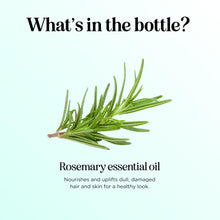 Maple Holistics Pure Rosemary Oil - Undiluted Natural Rosemary Essential Oil for Diffusers Aromatherapy Beauty and Self Care - Huile Essentielle Romarin Pour Diffuseur Aromathérapie Savons ou Bougies