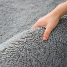 Poboton Super Soft Shaggy Area Rugs Fluffy Carpets, Indoor Area Rugs for Living Room Bedroom Kids, College Students Home Decor, Rectangular Fuzzy Rug, 5x8 Feet, Solid-LightGrey