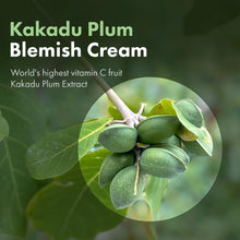 TOSOWOONG Kakadu Plum Cream, Face Cream, Kakadu Plum (Vitamin C) 600,000ppm, Niacinamide, Adenosine, Betaine, Korean Skin Care, 50g, 1.76 oz.