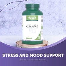 VORST Alpha GPC 600mg 120 Vegan Capsules | Bioavailable Choline Alfoscerate Supplement for Brain Health | Powder Pills | Alternative to liquid | 1 Bottle