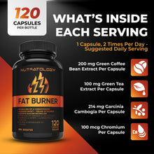 Nutratology Thermogenic Fat Burner - Metabolizes Carbohydrates+Fats - Appetite Suppressant That Helps Satiety - Weight Loss Pills for Women & Men - Bloating Relief - Keto-Friendly - 60 Diet Pills/Caps