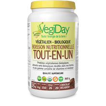 VegiDay® Vegan Organic All in One Nutritional Shake, Decadent Chocolate, 900 g, Convenient Way to Boost Your Nutrient Intake, Non-GMO, Plant-Based, 25 g of Protein per Serving, 20 servings