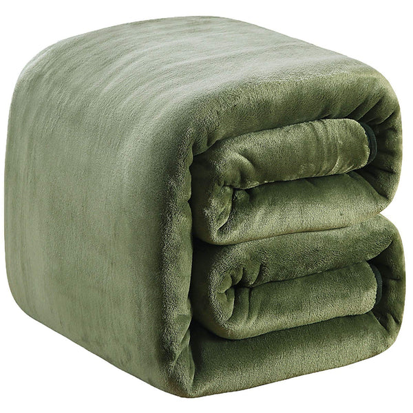 Queen Polar 350GSM Fleece Thermal Blanket Grass Green Extra Soft Brush Fabric Super Warm Bed Blanket Lightweight Couch Blanket Easy Care 90" x 90"(Grass Green Queen)