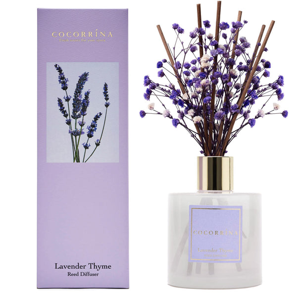 Cocorrína Premium Reed Diffuser Set with Preserved Baby's Breath & Cotton Stick Lavender Thyme | 6.7oz Scent Fragrance Lavender Oil Diffuser for Bedroom Bathroom Living Room Home Décor