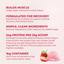 Plant-Based Protein | Vegan Protein Powder Strawberries & Cream | Thrive Protein | 1kg (30 servings)…