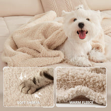 Luciphia 1 Pack 3 Blankets Fluffy Premium Fleece Pet Blanket Soft Sherpa Throw for Dog Puppy Cat Beige Small(23 * 16