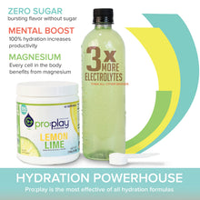 Pro:Play Electrolyte Hydration Drink with Magnesium + Zero Sugar in 40 Serving Tub (Lemon Lime)