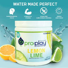 Pro:Play Electrolyte Hydration Drink with Magnesium + Zero Sugar in 40 Serving Tub (Lemon Lime)