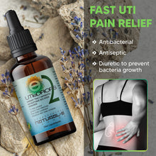 UTI E2-Drops All Natural Prevention Against Urinary Tract Infection – This Version of Our Natural Herbal UTI Drops Was Created for Prophylactic Use & the Prevention of UTIs – 55 Milliliters