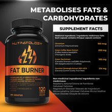 Nutratology Thermogenic Fat Burner - Metabolizes Carbohydrates+Fats - Appetite Suppressant That Helps Satiety - Weight Loss Pills for Women & Men - Bloating Relief - Keto-Friendly - 60 Diet Pills/Caps