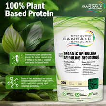 Gandalf Organic Spirulina Powder 300g 60-Servings - Pure Blue-Green Algae Superfood - Vegan, Packed with Iron, Antioxidants and Essential Nutrients, Perfect for Smoothies and Recipes